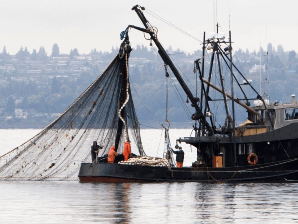 Client-Ready Interiors for Commercial Fishing Vessels