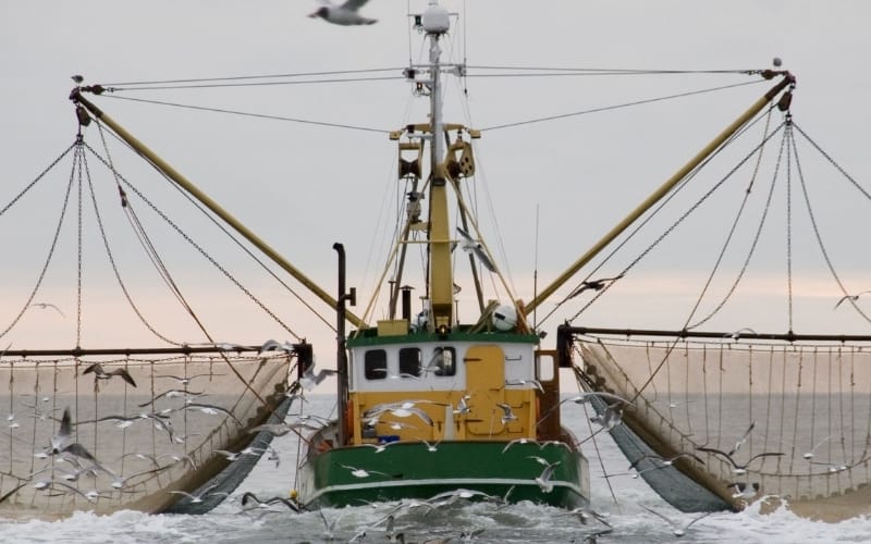 Why is Interior Planning Important in Commercial Fishing Vessels
